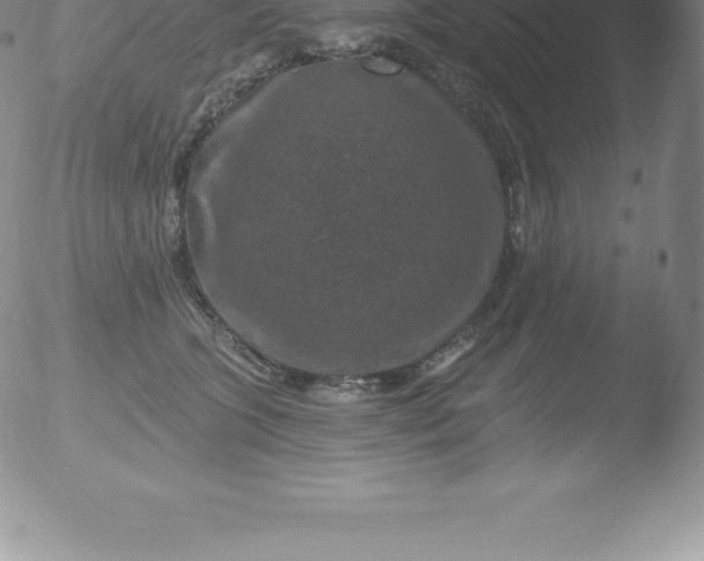 X0000051890563200507081941