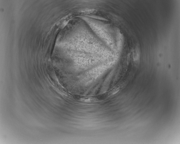 X0000051890564200507081941