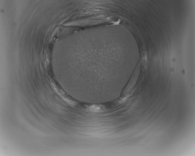 X0000051890566200507081942