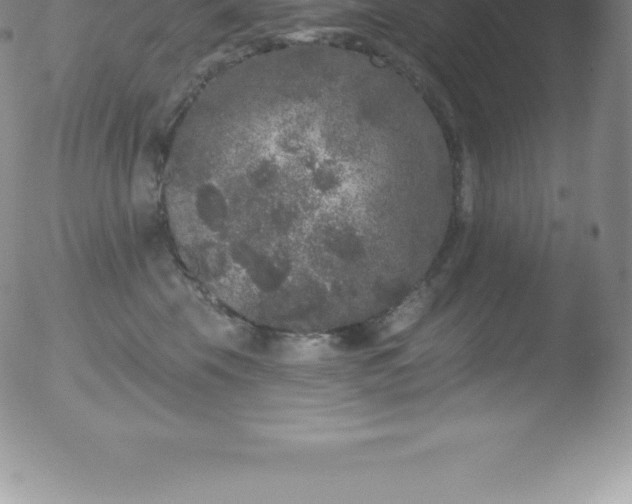 X0000051890569200507081942