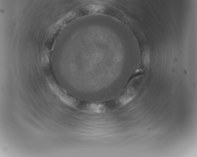 X0000051890570200507081942