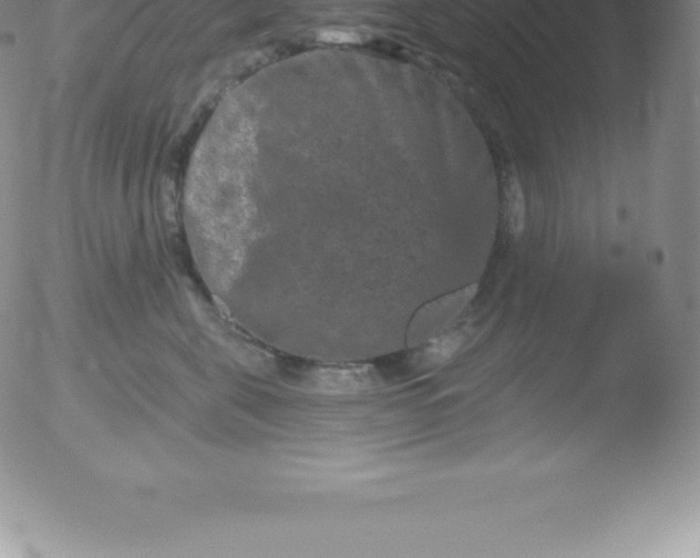 X0000051890571200507081942