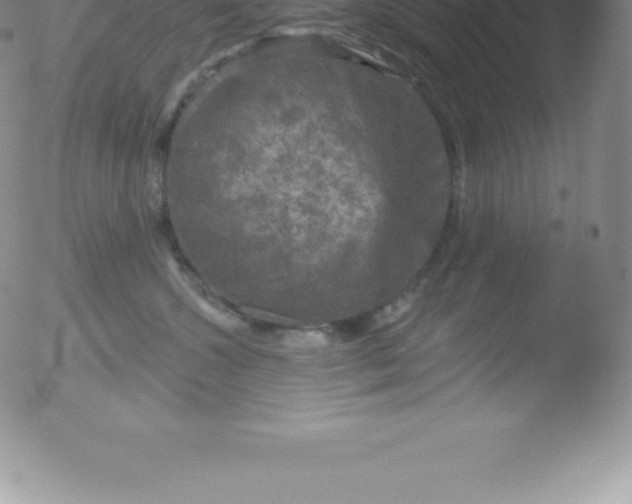 X0000051890572200507081942