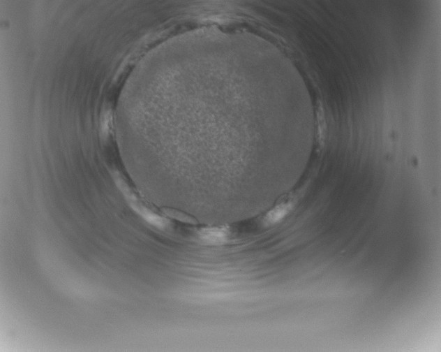 X0000051890574200507081942