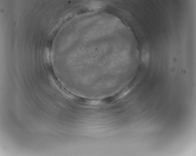 X0000051890575200507081942