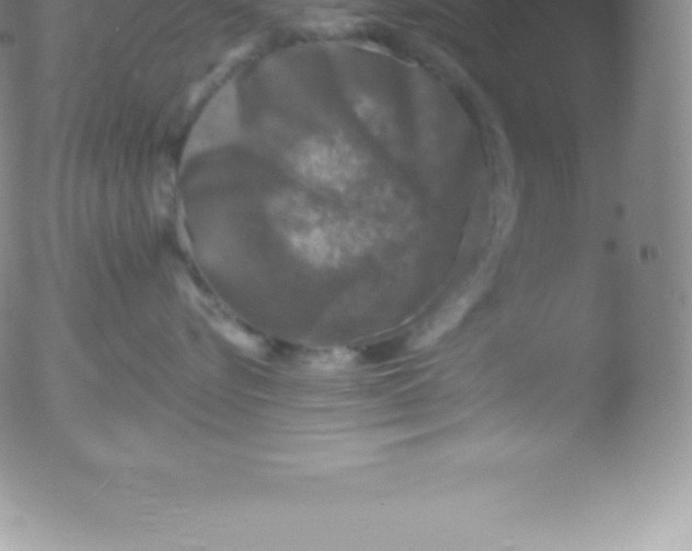 X0000051890576200507081942