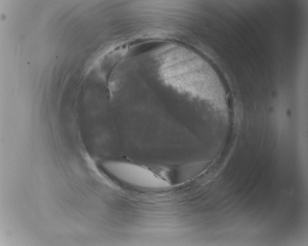 X0000051890577200507081941