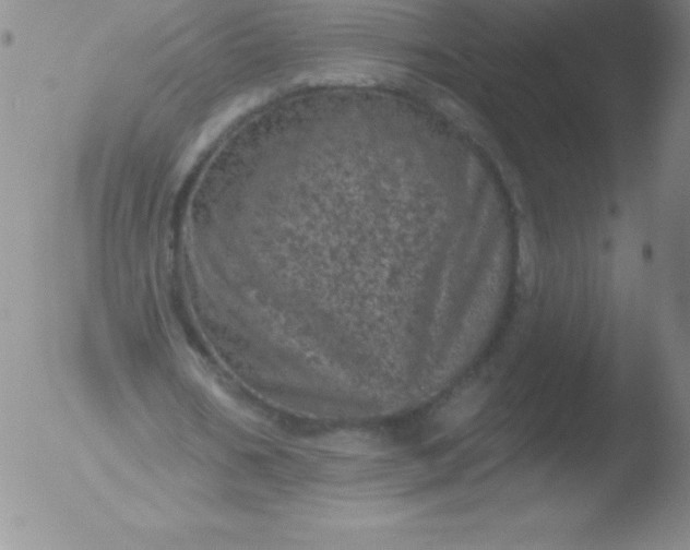 X0000051890578200507081941