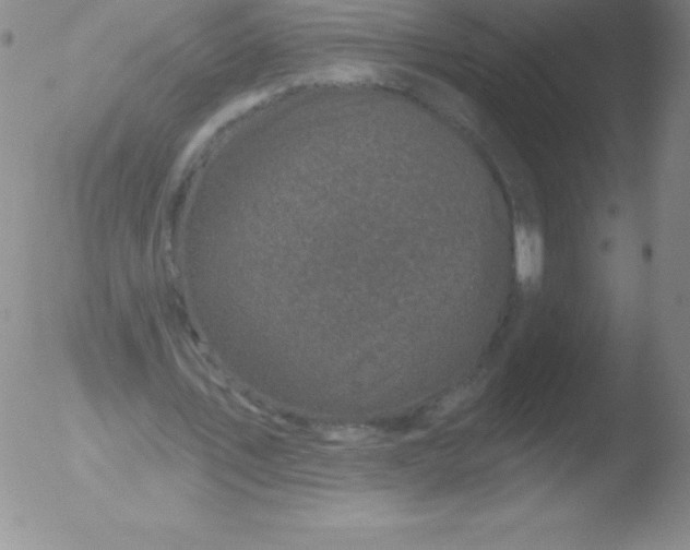 X0000051890579200507081941