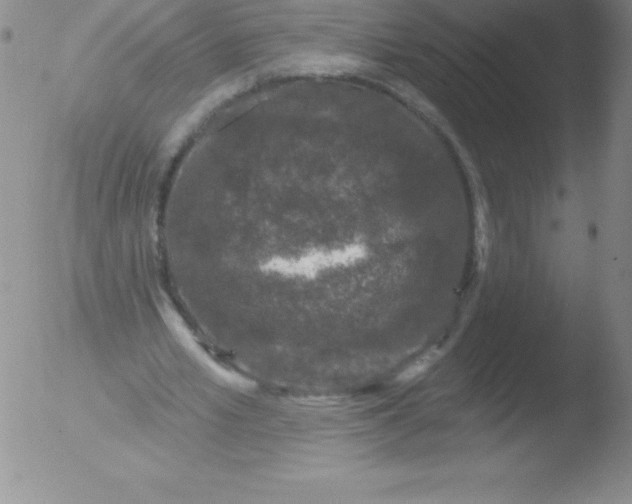 X0000051890581200507081941