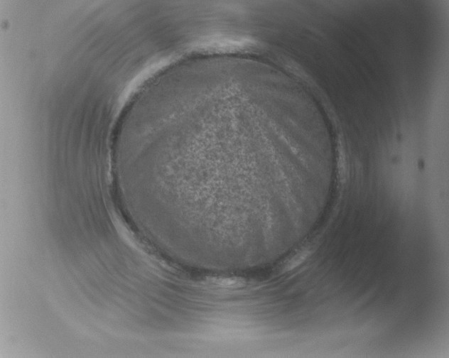 X0000051890582200507081941