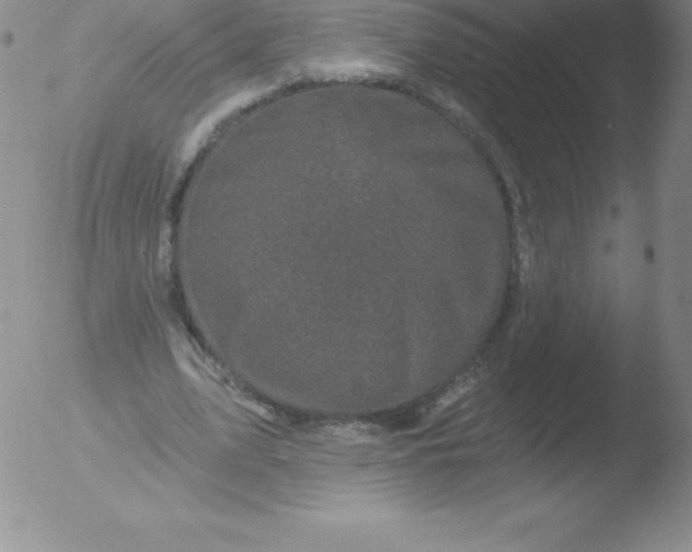 X0000051890583200507081941