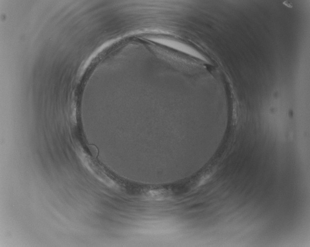 X0000051890584200507081941