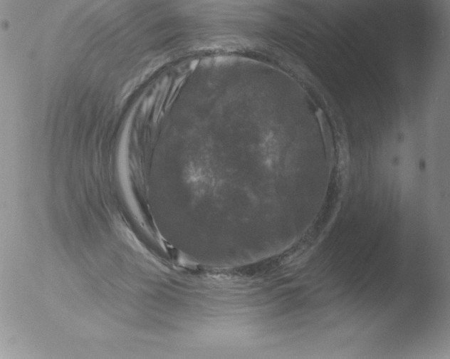 X0000051890585200507081941