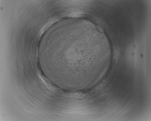 X0000051890586200507081941