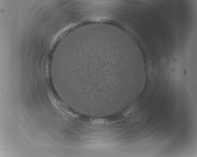 X0000051890587200507081941