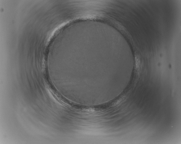 X0000051890588200507081941