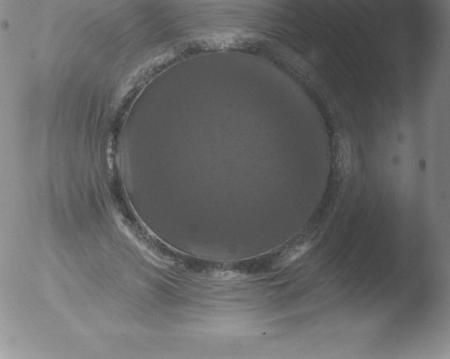 X0000051890590200507081941