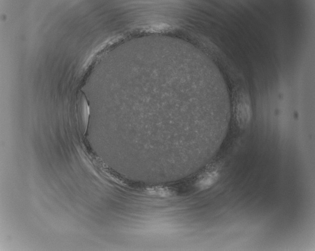 X0000051890591200507081941