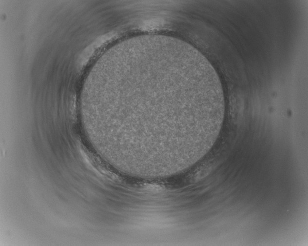 X0000051890592200507081941