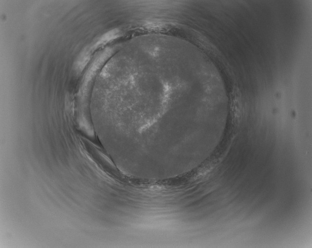 X0000051890593200507081941