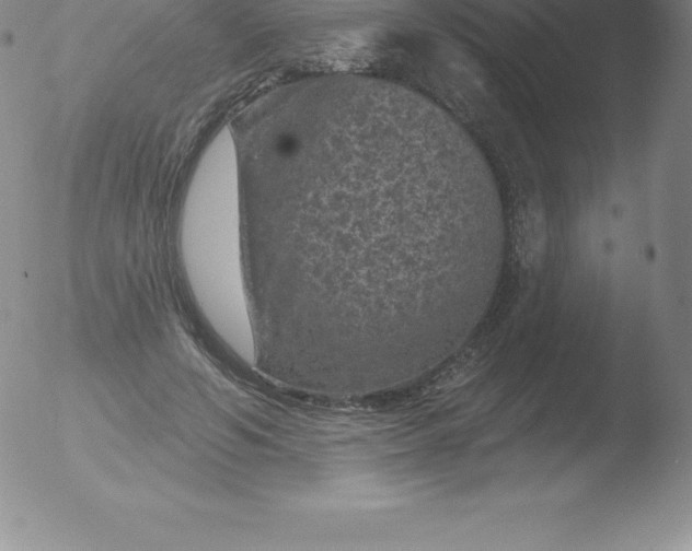 X0000051890594200507081941