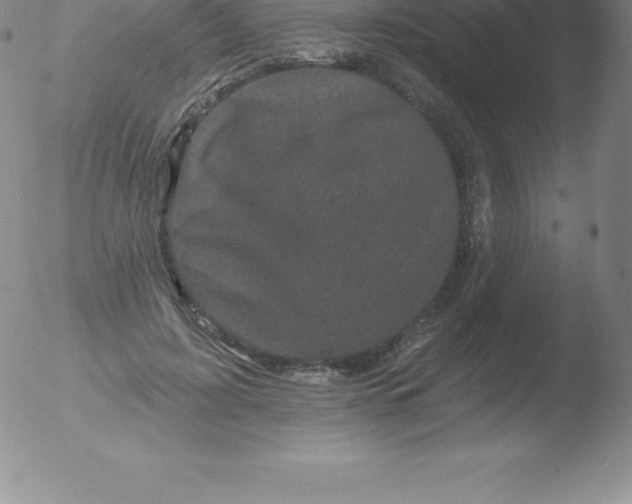 X0000051890595200507081941