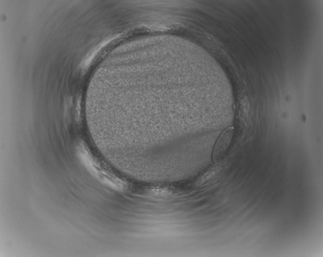 X0000051890596200507081941