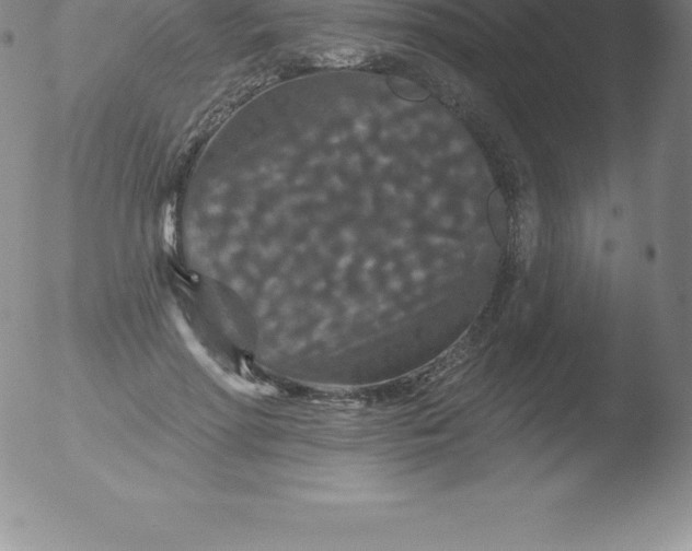 X0000051890598200507081941