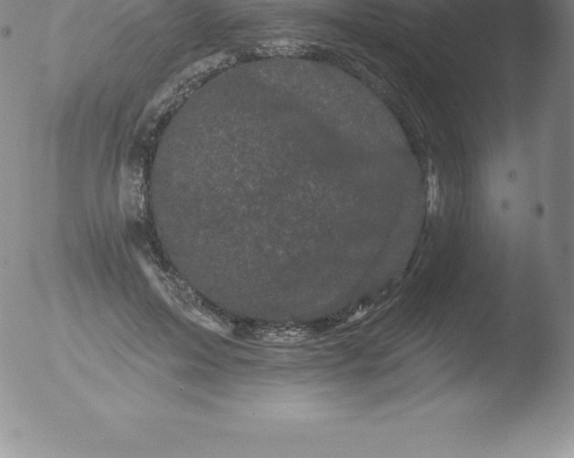 X0000051890599200507081941