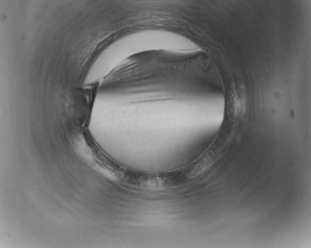 X0000051890600200507081941