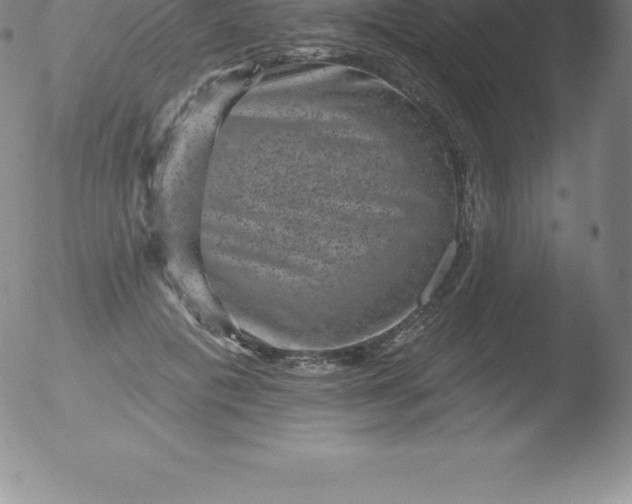 X0000051890601200507081940