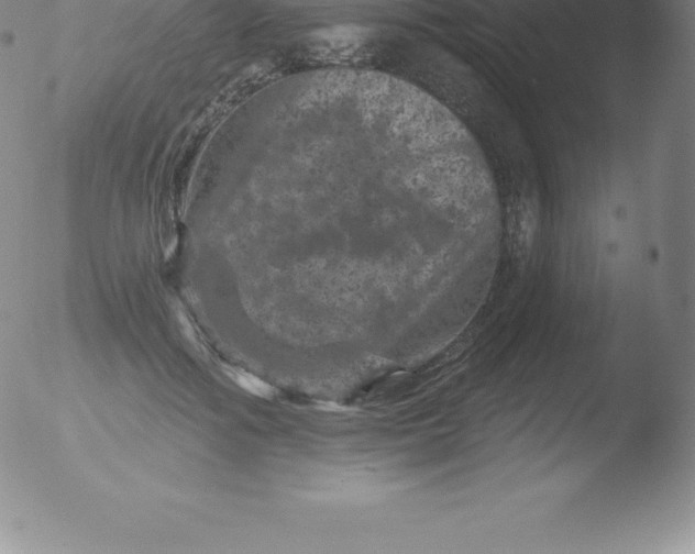 X0000051890602200507081940