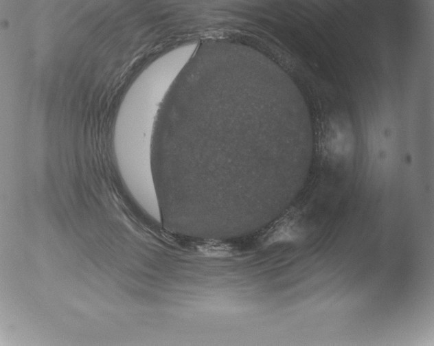 X0000051890603200507081940