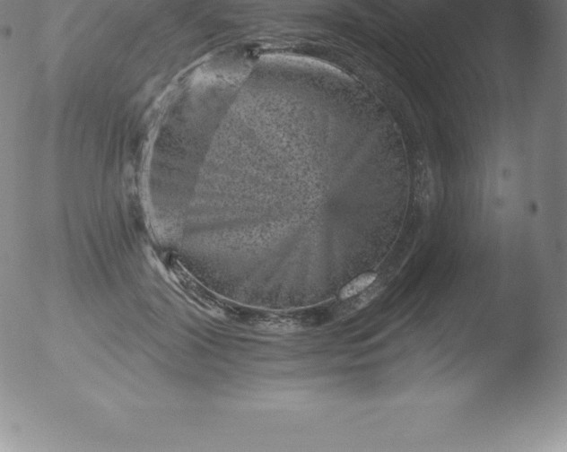 X0000051890604200507081940