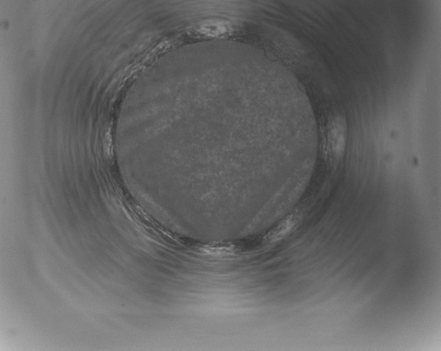 X0000051890606200507081940