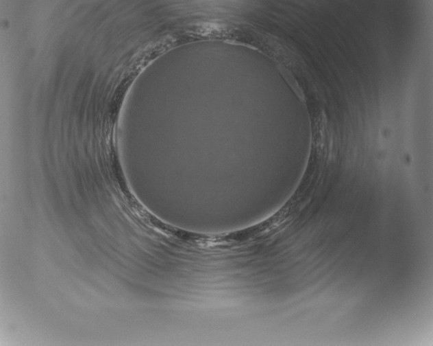 X0000051890607200507081940