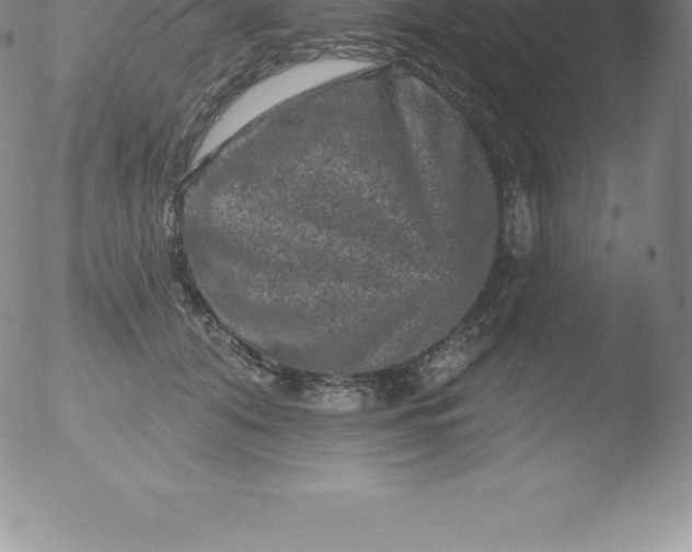 X0000051890608200507081940