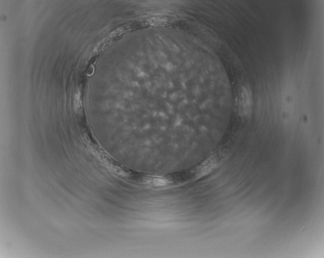 X0000051890610200507081940