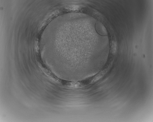 X0000051890612200507081940