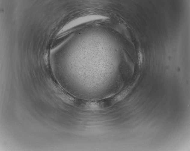 X0000051890613200507081940