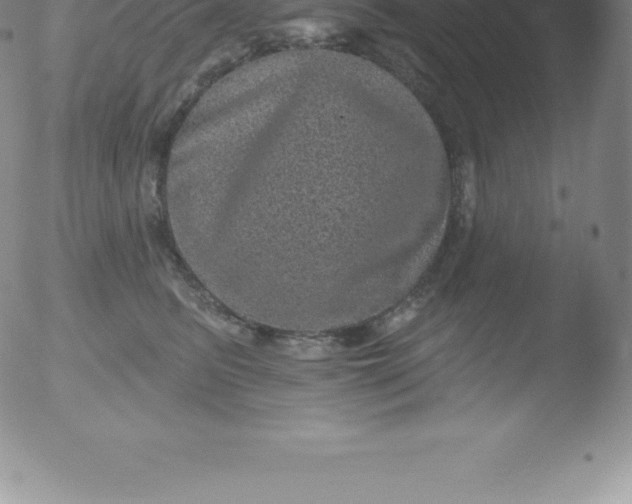 X0000051890615200507081940