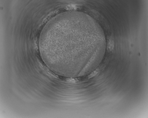 X0000051890616200507081940