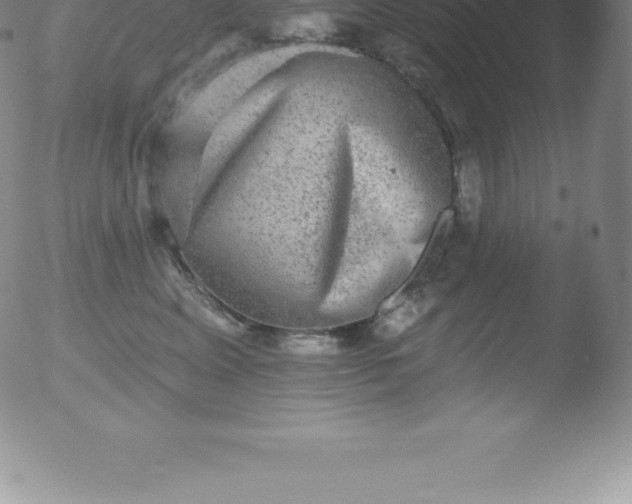 X0000051890617200507081940