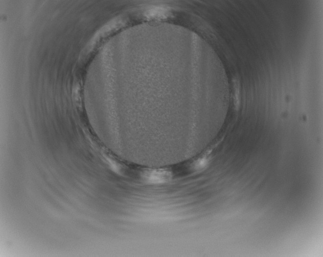 X0000051890619200507081940