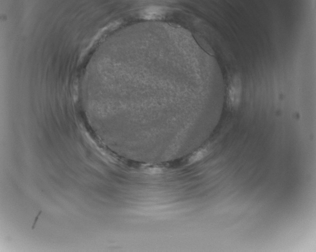 X0000051890620200507081940