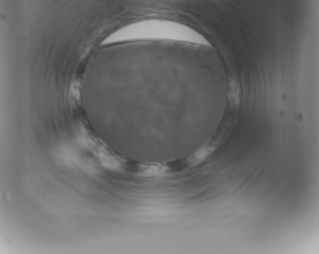 X0000051890621200507081940