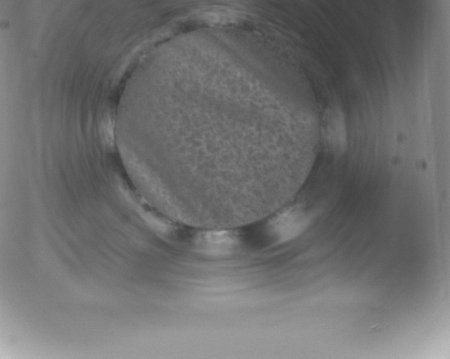 X0000051890622200507081940