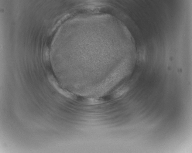 X0000051890623200507081940