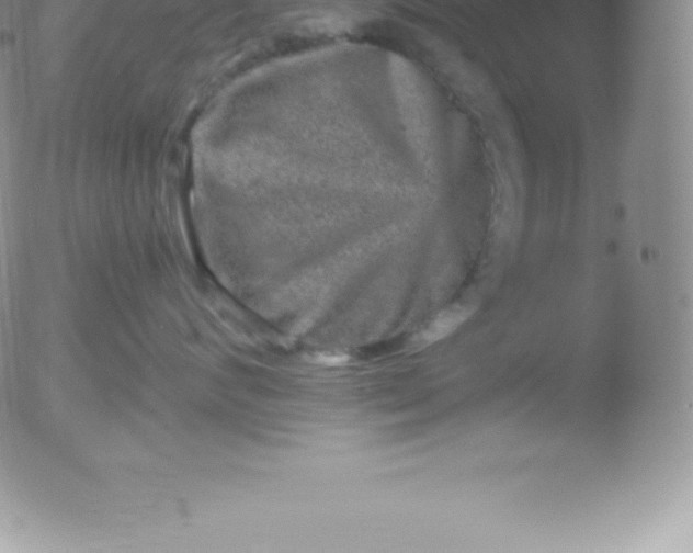 X0000051890624200507081940